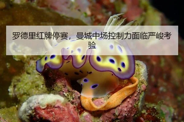 罗德里红牌停赛，曼城中场控制力面临严峻考验