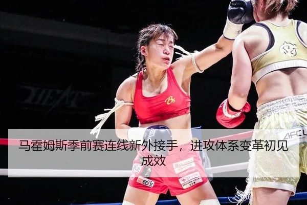 马霍姆斯季前赛连线新外接手，进攻体系变革初见成效