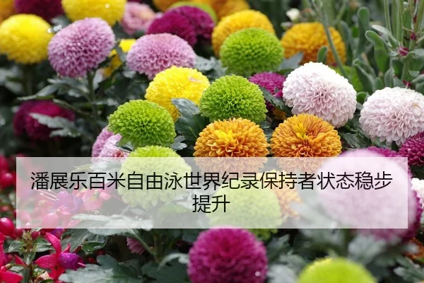 潘展乐百米自由泳世界纪录保持者状态稳步提升