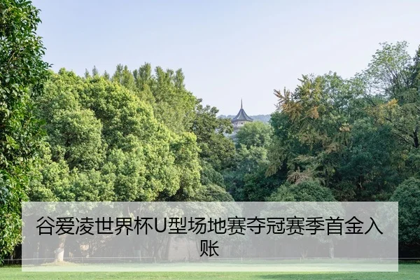 谷爱凌世界杯U型场地赛夺冠赛季首金入账