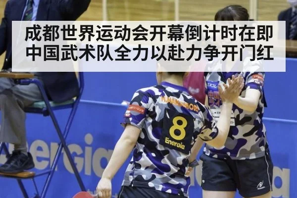 成都世界运动会开幕倒计时在即 中国武术队全力以赴力争开门红